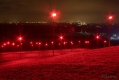 Leuchtmasten, welche die Ostseite der Halde in ein rotes Licht tauchen