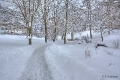 Park in Willingen