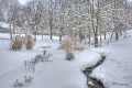 Park in Willingen